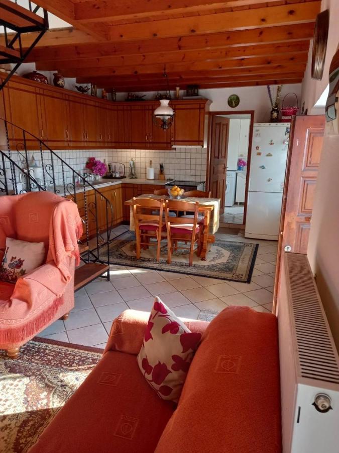 Orizontas Pilio Villa Kissos  Buitenkant foto